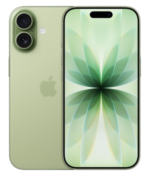 iPhone 17, Sage, 256 ГБ, Две eSIM