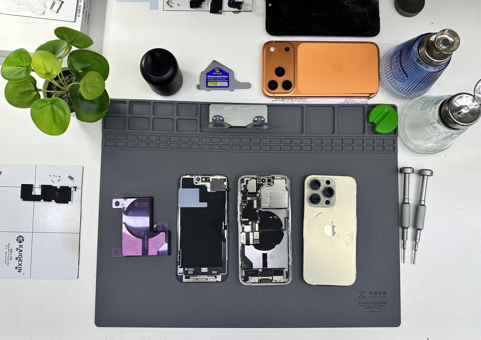 Ремонт iPhone 11 в сервисе iFresh.One — фото процесса